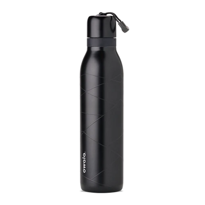 Lights Camera Action - 24oz